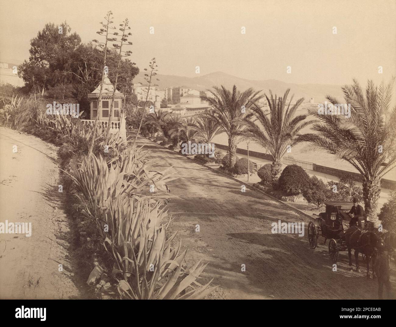 1888 Ca , SANREMO , IMPERIA, ITALIEN : The Promenade , SAN REMO ( Imperia ). Foto des Fotografen JEAN GILLETTA ( 1856 - 1933 ) - ITALIA - LIGURIEN - FOTO STORICHE - GESCHICHTE - GEOGRAFIEN - GEOGRAFIE - - BELLE EPOQUE - calesse - Coach - passeggiata panoramica - PANORAMA - Landschaft - palme - palma - Palmen - Stute - Meer - XIX SECOLO - OTTOCENTO - '800 - 800 's ---- Archivio GBB Stockfoto