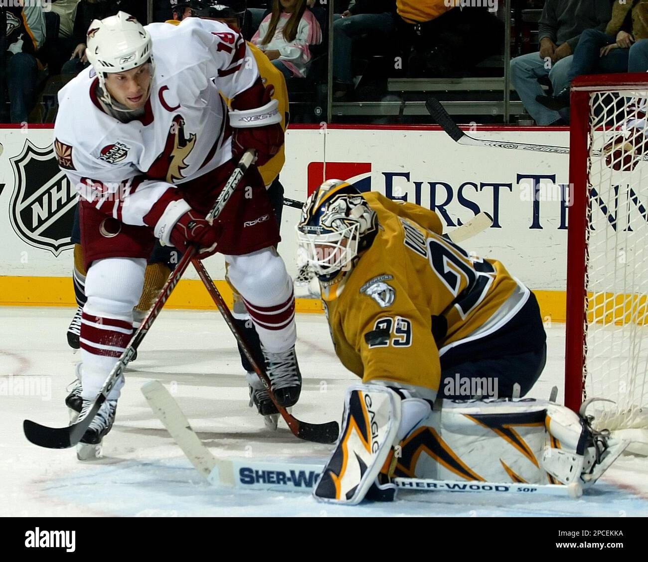 Nashville Predators goalie Tomas Vokoun (29), of the Czech Republic