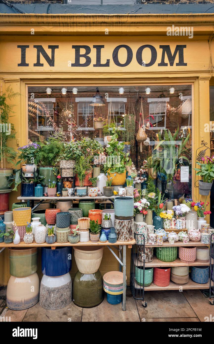 In Bloom, Columbia Street - Ein traditioneller Blumenladen in Bethnal Green. Der Columbia Road Flower Market befindet sich in der Nähe der Hackney Road Stockfoto