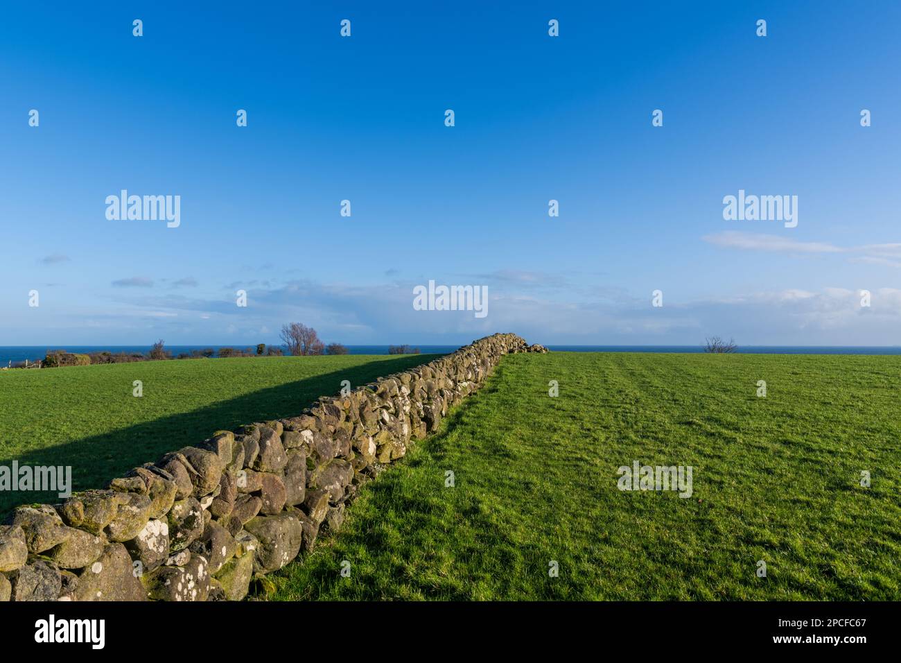 Alte Steinmauer zwischen zwei Feldern mit grünem Gras entlang der Küste von Antrim in Nordirland Stockfoto