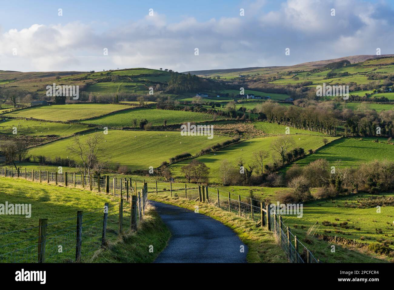 Eine ruhige Landstraße schlängelt sich durch die sanften Hügel und grünen Felder der Glens of Antrim, übersät mit Farmen und Schafen, die friedlich weiden Stockfoto