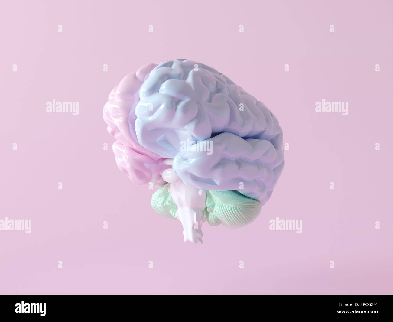 3D-Darstellung des Gehirns mit links und rechts getrennten Funktionsteilen und Aktivitätsteilen auf pastellrosafarbenem Hintergrund. Gehirn mit Unterteilungen Stockfoto