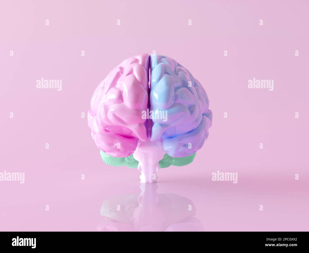 Realistische Hirnspaltung an farbigen Lappen (Teilen). 3D-Darstellung des Gehirns in der Vorderansicht mit Ballonmaterial isoliert auf pinkfarbenen Pastellfarben Stockfoto