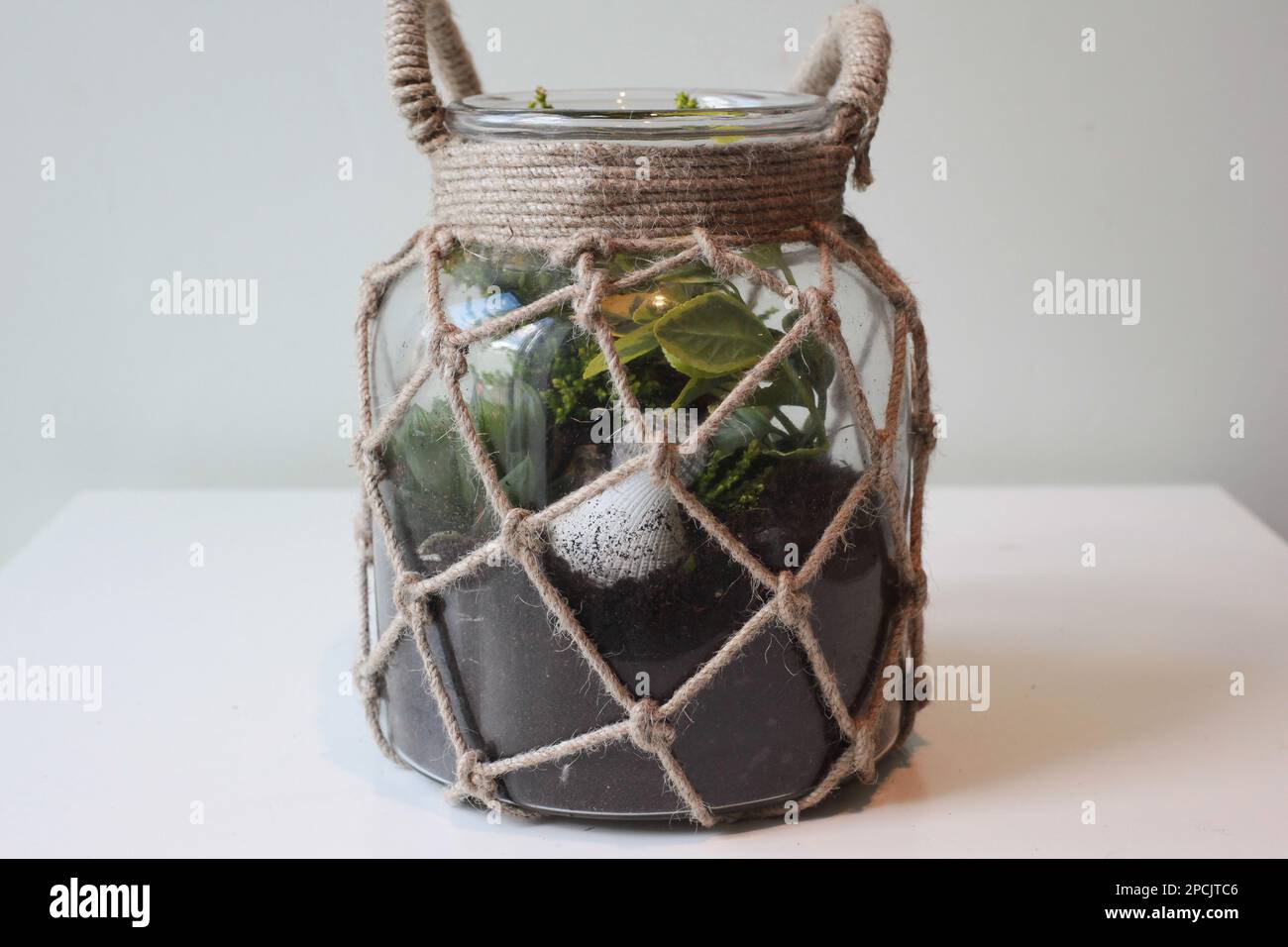 Glasterrarium im Innenbereich Stockfoto