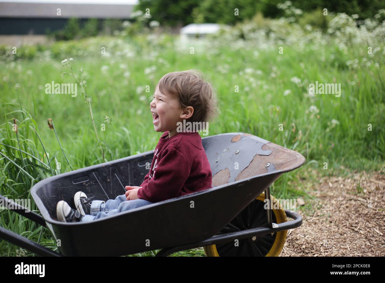 Ein Kleinkind, das in einer Schubkarre lacht Stockfoto