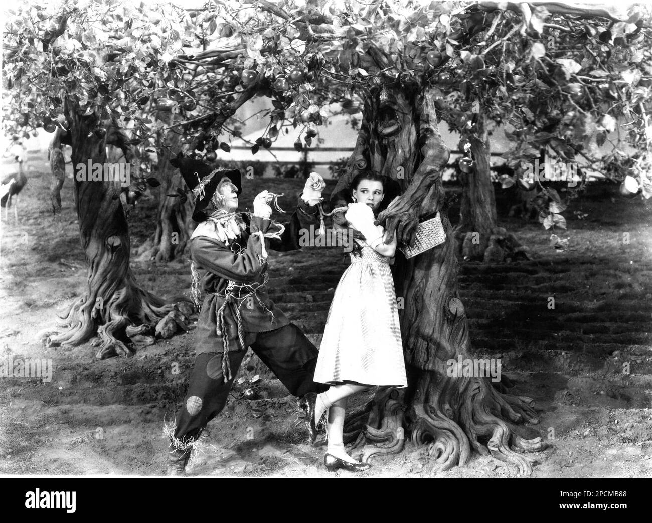 1939 , USA : die Sängerin und Schauspielerin JUDY GARLAND ( 1922 - 1969 ) und RAY BOLGER in " der Zauberer von Oz " ( " Il mago di Oz " ) von Victor Fleming - FILM - KINO - spaventapasseri ---- Archivio GBB Stockfoto