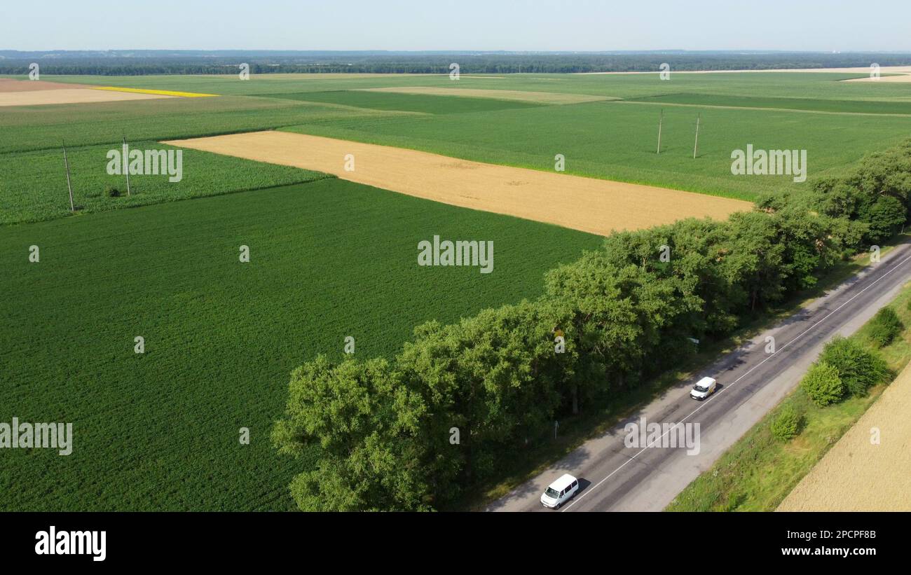 Landwirtschaftliche Felder. Gelbe und grüne landwirtschaftliche Felder