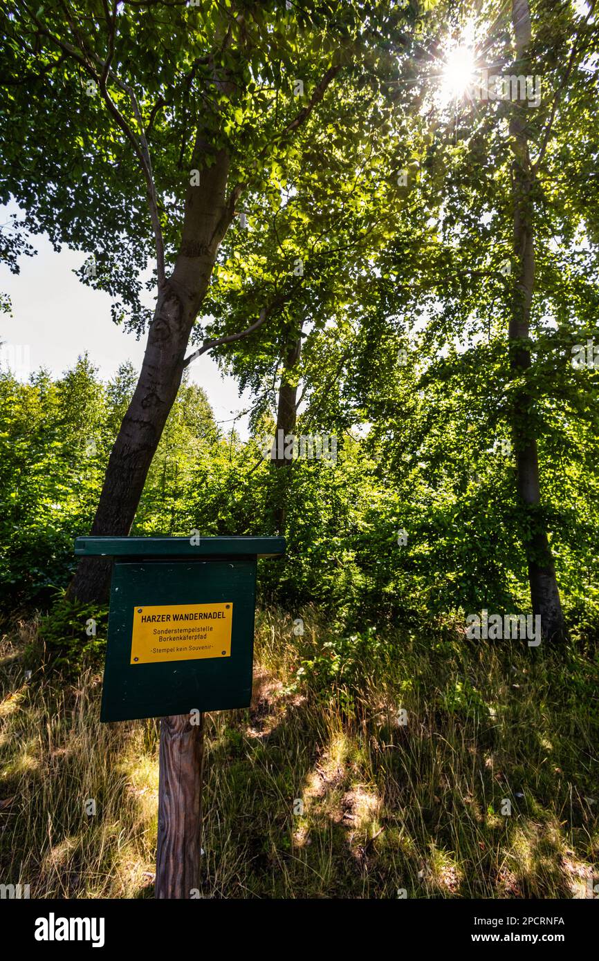 Impressionen aus Ilsenburg Harz und Umgebung Stockfoto
