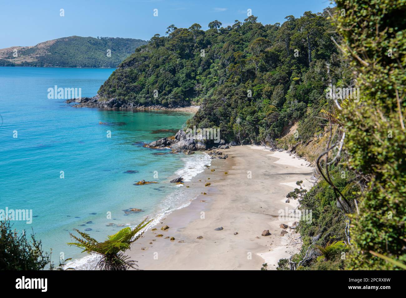 Die Küste der Stewart-Insel aus Sicht der Rakiura-Strecke in Aotearoa Neuseeland. Stockfoto