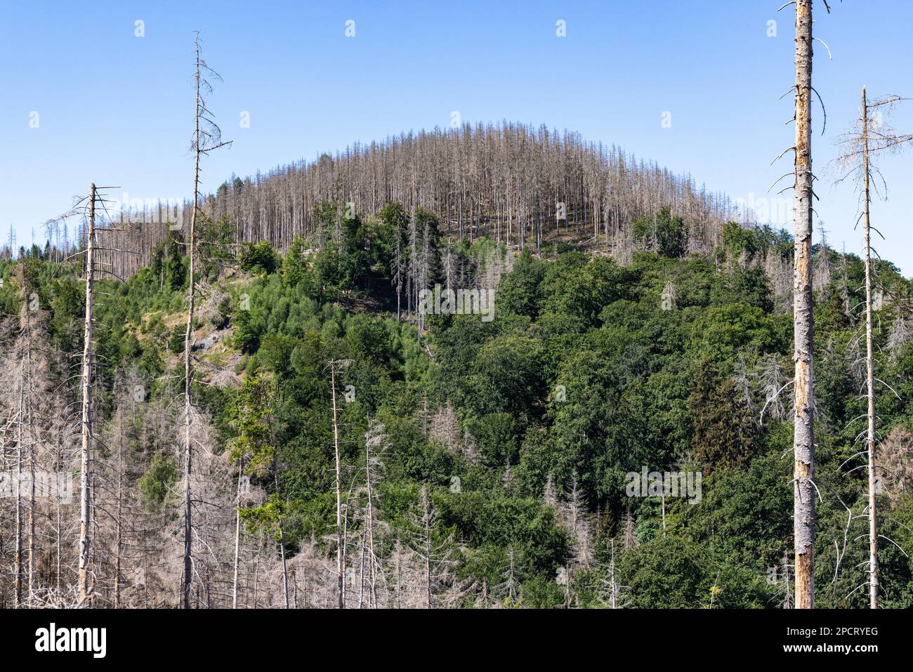 Impressionen aus Ilsenburg Harz und Umgebung Stockfoto