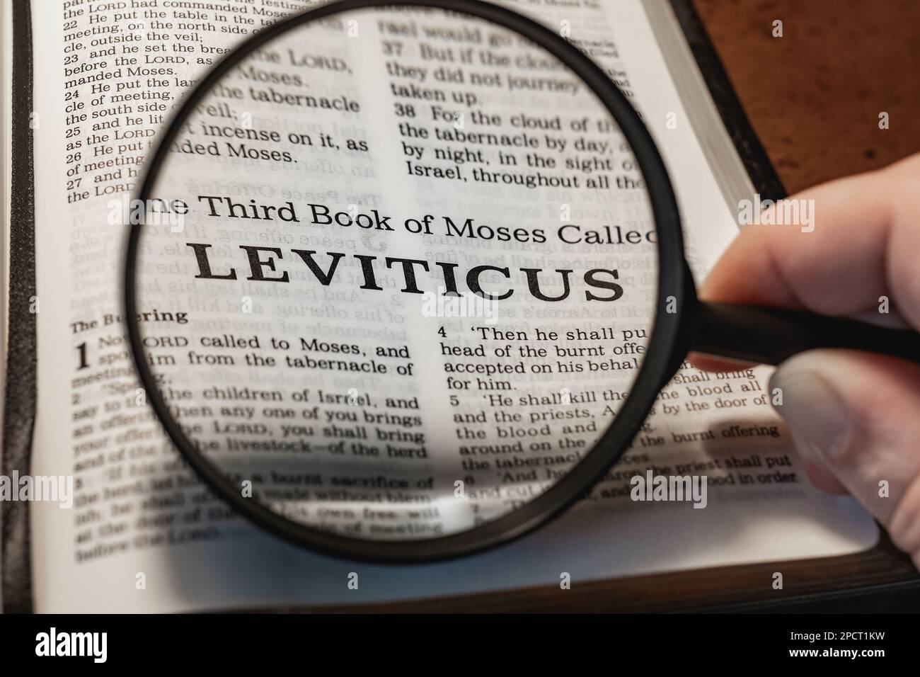 Eine Nahaufnahme einer Person, die eine Lupe hält und das Buch des Leviticus aus dem Neuen Testament liest Stockfoto