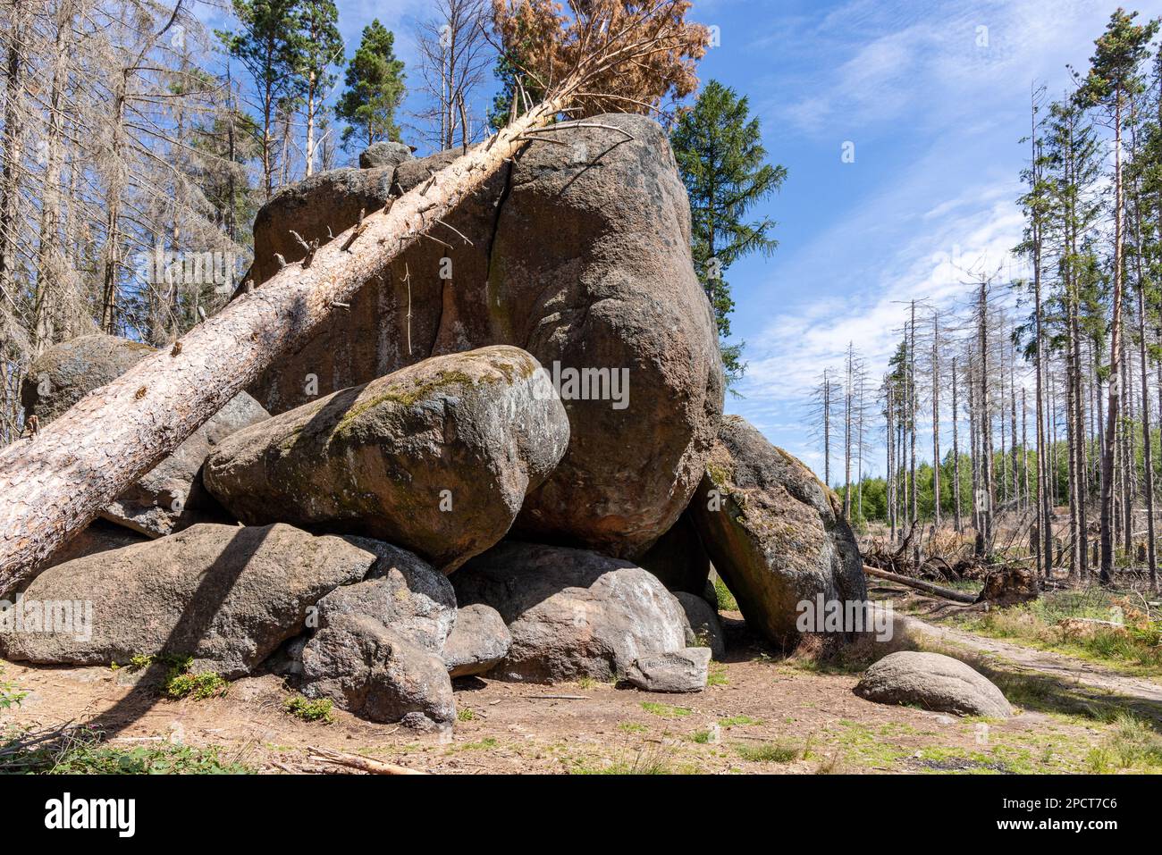 Impressionen aus Ilsenburg Harz und Umgebung Stockfoto