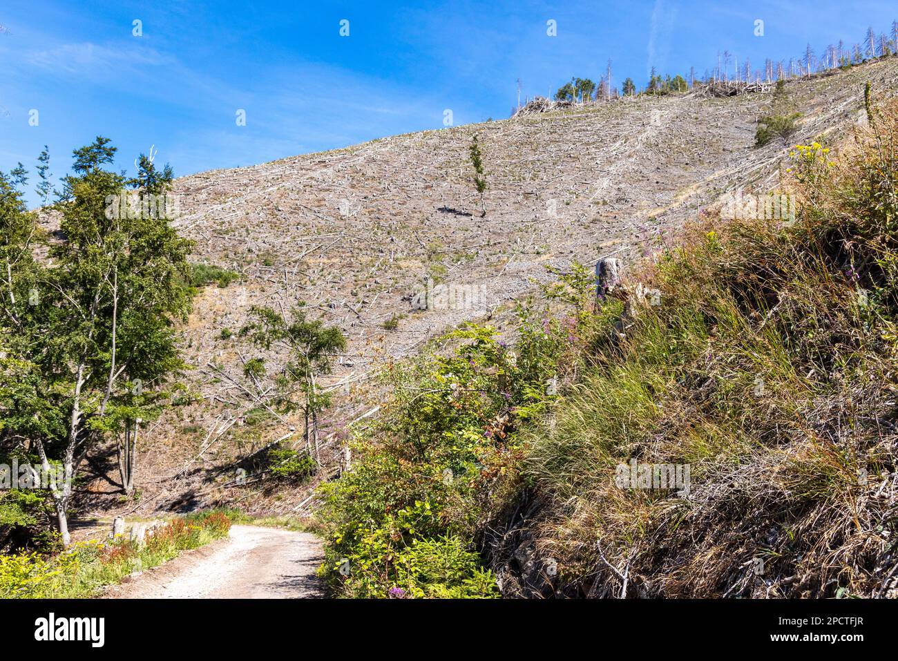 Impressionen aus Ilsenburg Harz und Umgebung Stockfoto