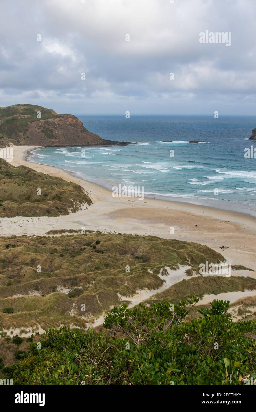 Die wunderschöne Küste der Halbinsel Otago in Aotearoa Neuseeland. Stockfoto
