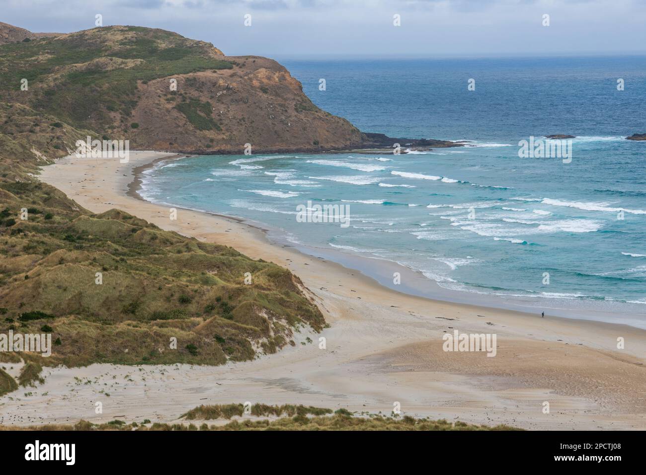 Die wunderschöne Küste der Halbinsel Otago in Aotearoa Neuseeland. Stockfoto