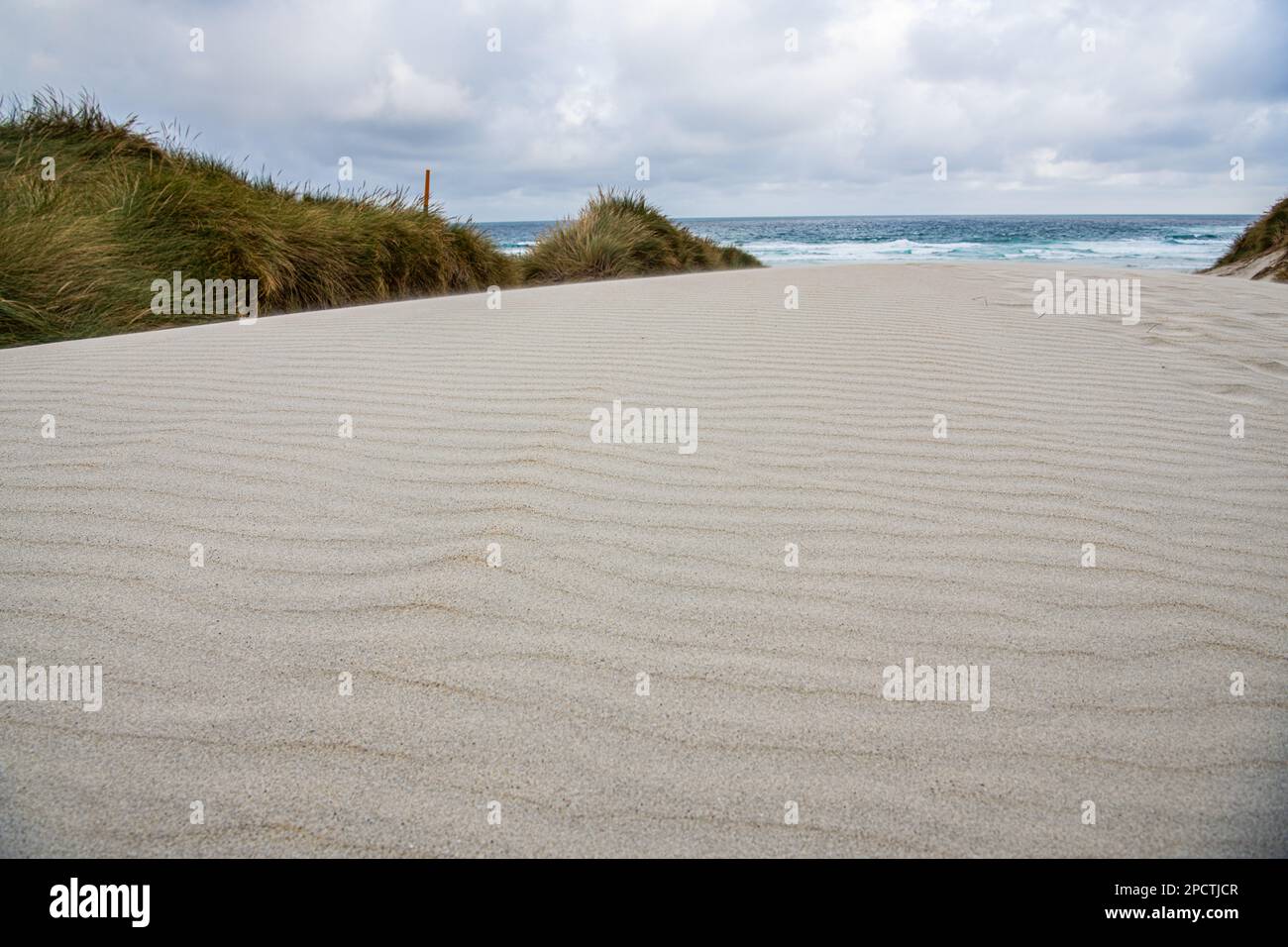 Weiße Sanddünen und die Muster von Wellen im Sand mit dem pazifischen Ozean dahinter, eine minimalistische Szene in Aotearoa Neuseeland. Stockfoto