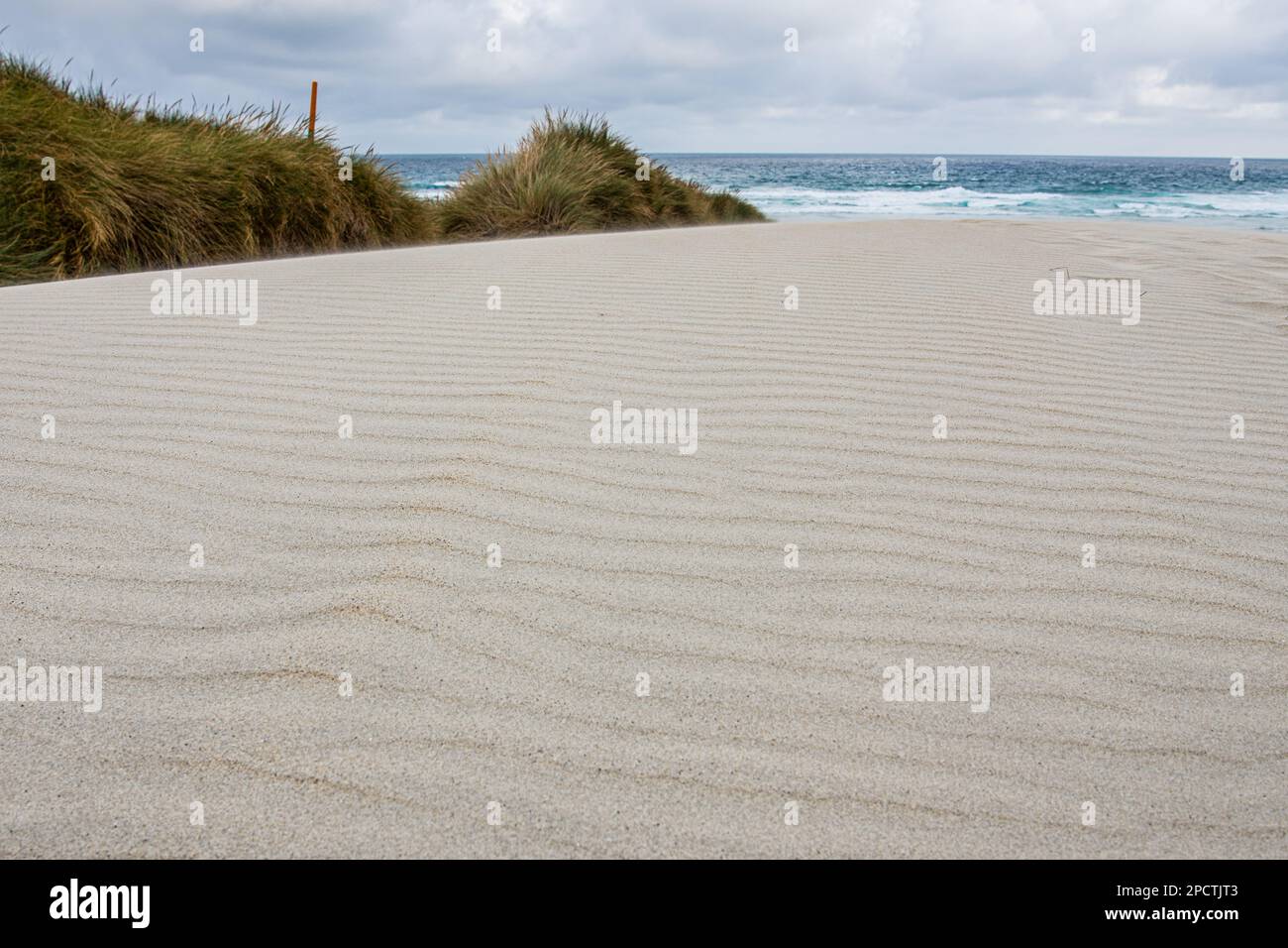 Weiße Sanddünen und die Muster von Wellen im Sand mit dem pazifischen Ozean dahinter, eine minimalistische Szene in Aotearoa Neuseeland. Stockfoto