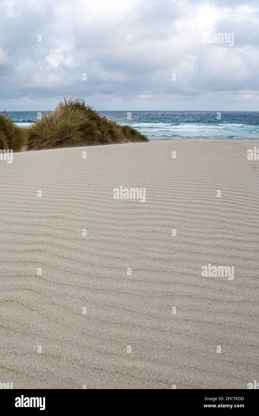 Weiße Sanddünen und die Muster von Wellen im Sand mit dem pazifischen Ozean dahinter, eine minimalistische Szene in Aotearoa Neuseeland. Stockfoto