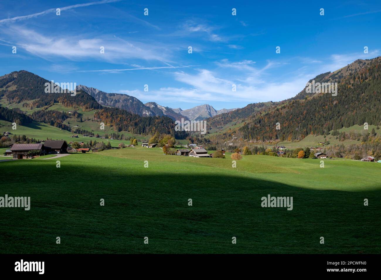 Suisse, Schweiz, Vaud, Waadt, Canton de Vaud, Kanton Waadt, Château-d'Œx, pré, Wiese, Wiese, Champ, Feld, Feld, Landwirtschafts-Landwirtsc Stockfoto