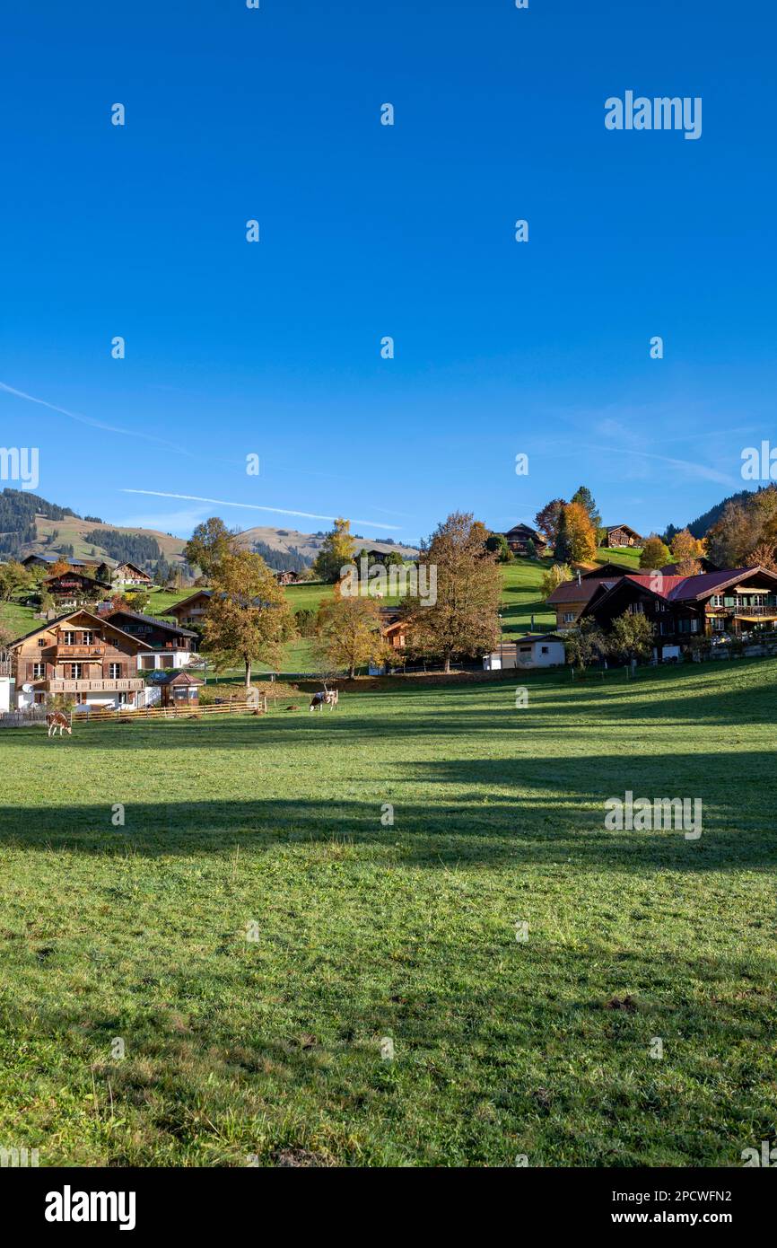 Suisse, Schweiz, Bern, Bern, Canton de Berne, Kanton Bern, Oberland bernois, Berner Oberland, Gstaad, Dorf, Dorf, Dorf, Chalet, Ch Stockfoto