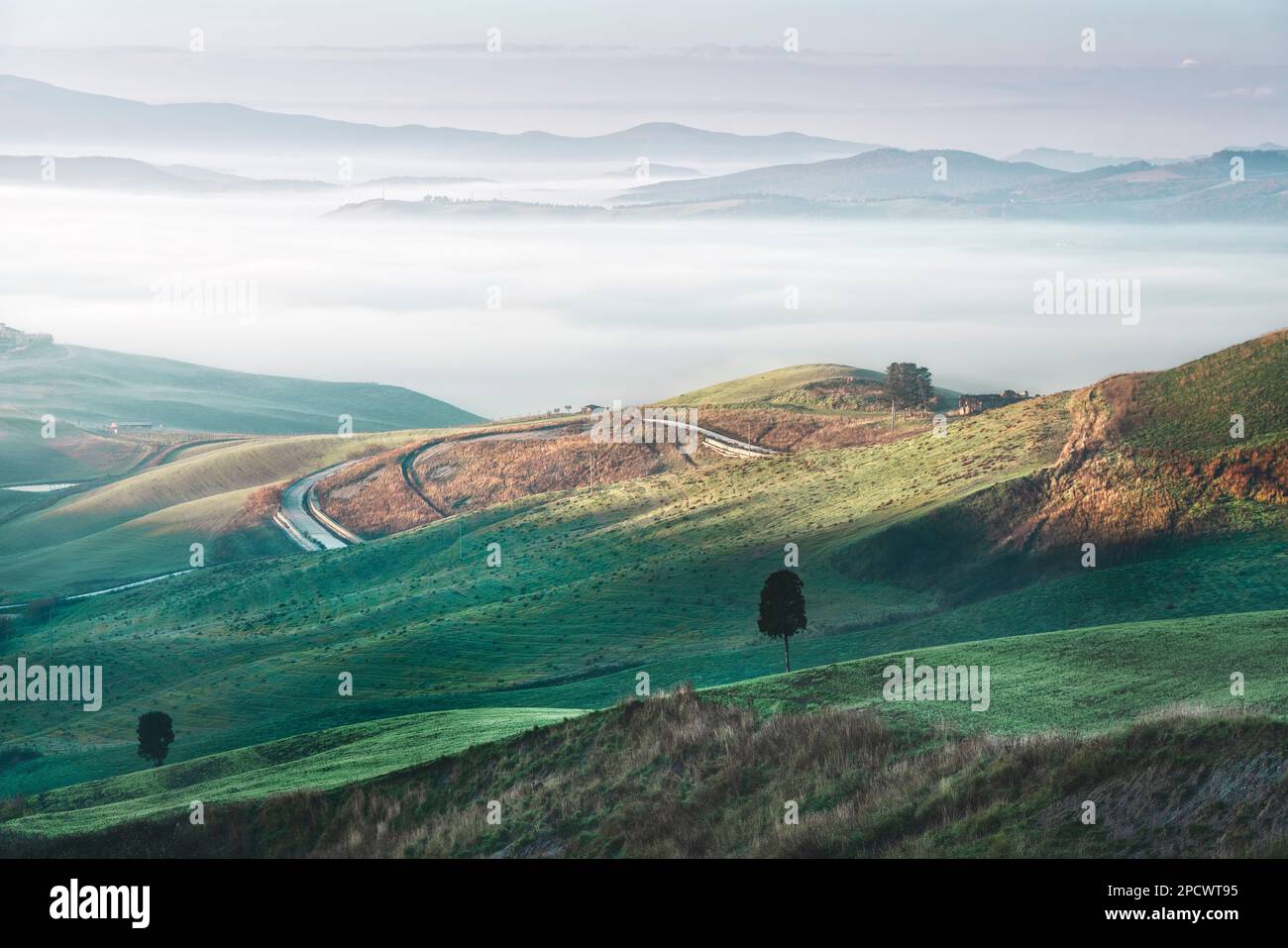 Neblige Landschaft in Volterra bei Sonnenaufgang. Bäume, sanfte Hügel und eine Straße. Toskana, Italien, Europa Stockfoto