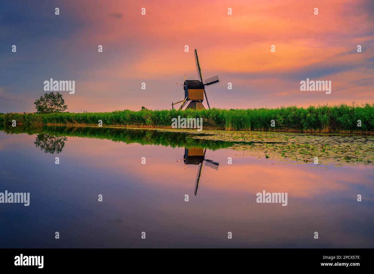 Sonnenuntergang über einer alten holländischen Windmühle an einem Fluss in Kinderdijk, Niederlande Stockfoto