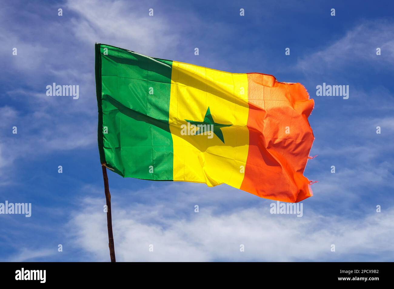 Senegalesische Flagge, die im Wind gegen den Himmel winkt Stockfoto
