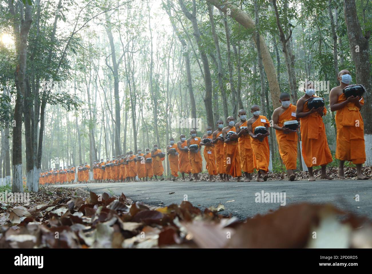 Theravada-Buddhismus: Die Mönche nehmen ihr Almosenfutter am frühen Morgen, Chagrachari, Bangladesch. Stockfoto