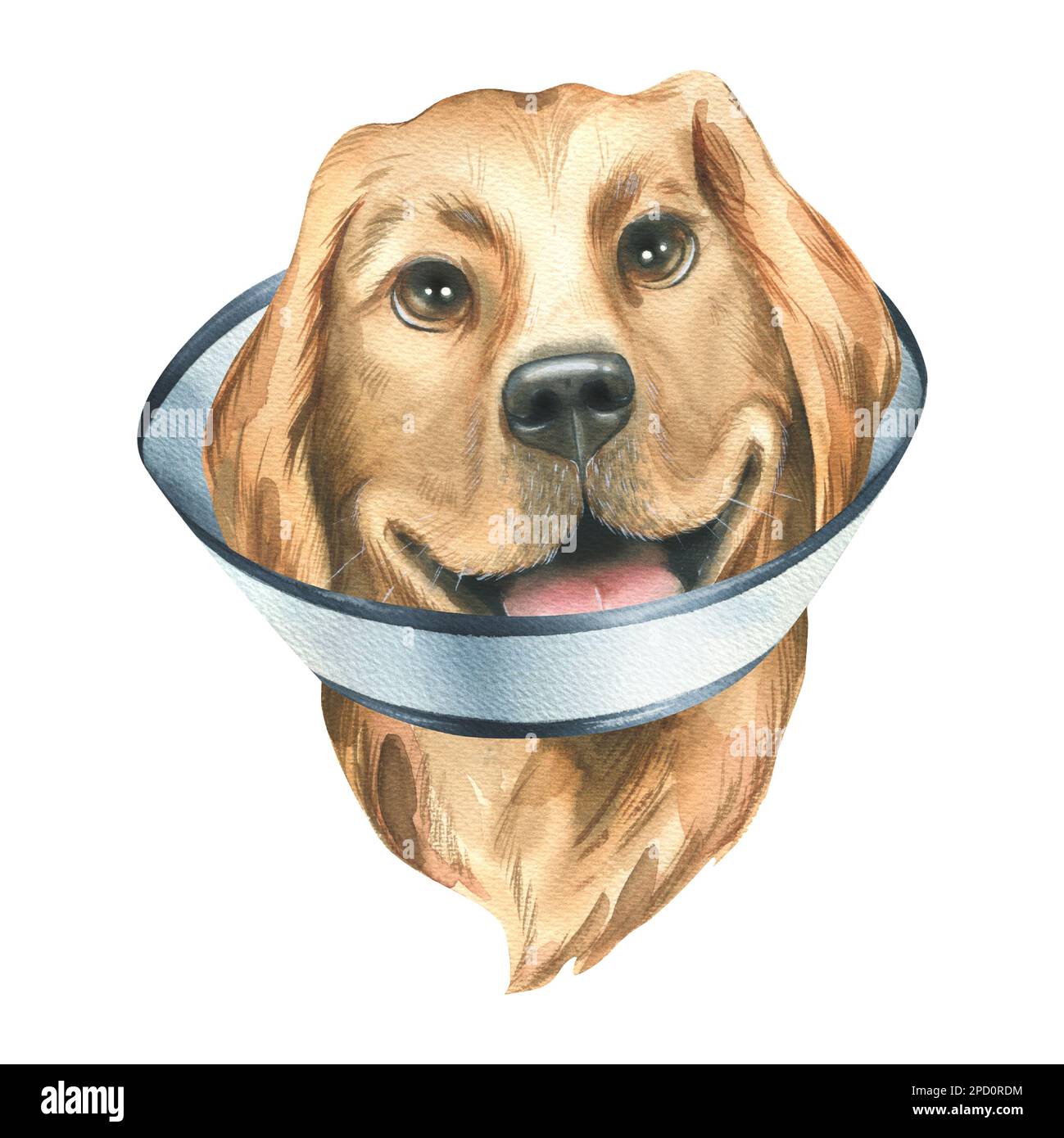Ein kranker Hund in einer schützenden, veterinärmedizinischen Halsband, goldene Retriever-Rasse. Aquarelldarstellung. Ein isoliertes Objekt aus DER TIERÄRZTLICHEN Sammlung. Für Stockfoto