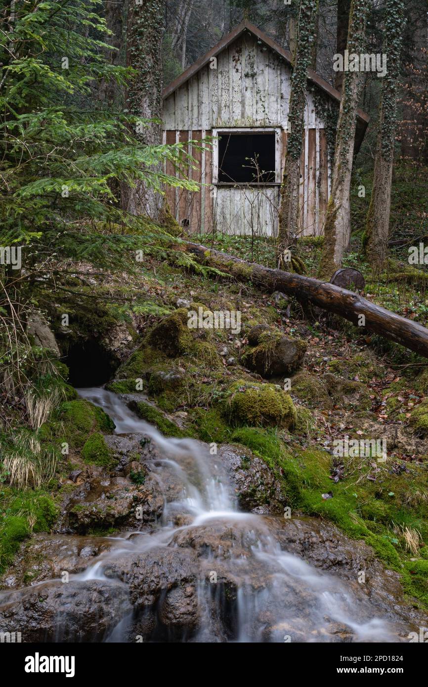 Holzkabine in einem Wald, kleiner Wasserfall vorne Stockfoto