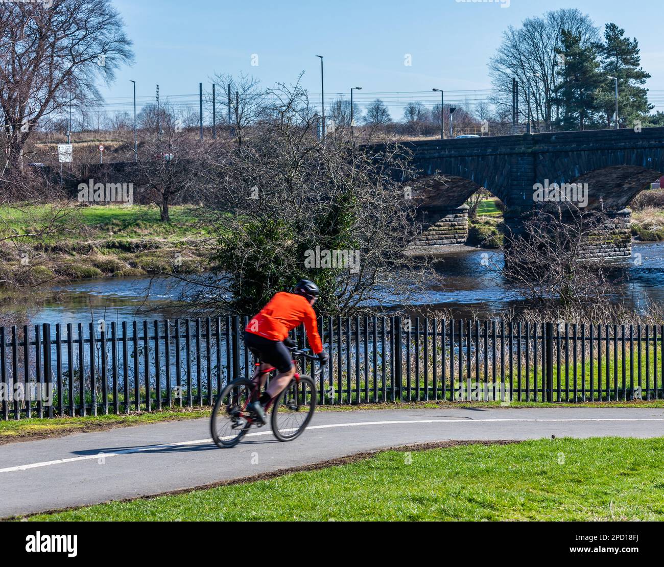 Ein Radfahrer, der einen der Radwege am Fluss Forth in der Stadt Stirling in Schottland nutzt Stockfoto