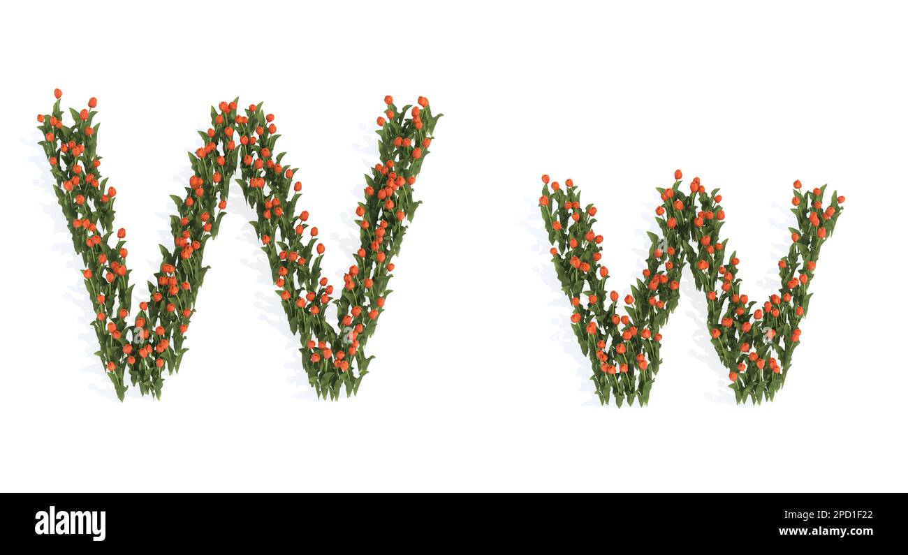 Konzept oder konzeptionelles Set wunderschöner blühender Tulpensträuße, die die Schriftart W. 3D-Metapher für Bildung, Design und Dekoration, rom bilden Stockfoto