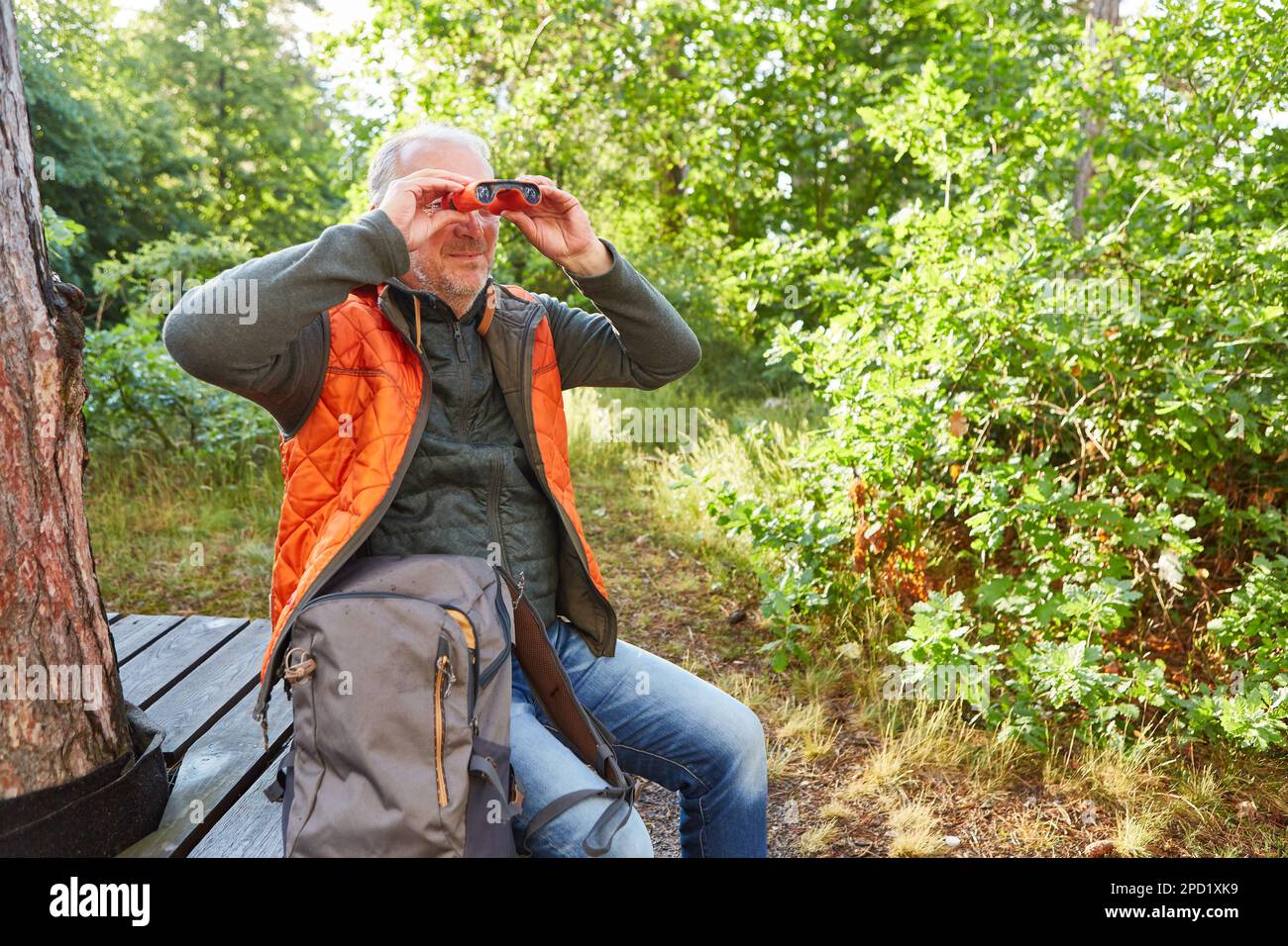 Senioren beobachten Vögel durch Ferngläser während der Sommerferien im Wald Stockfoto