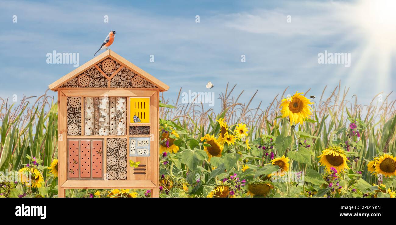 Wunderschönes Insektenhotel mit Vögeln, fliegenden Schmetterlingen und Bienen vor blühenden Sonnenblumen Stockfoto