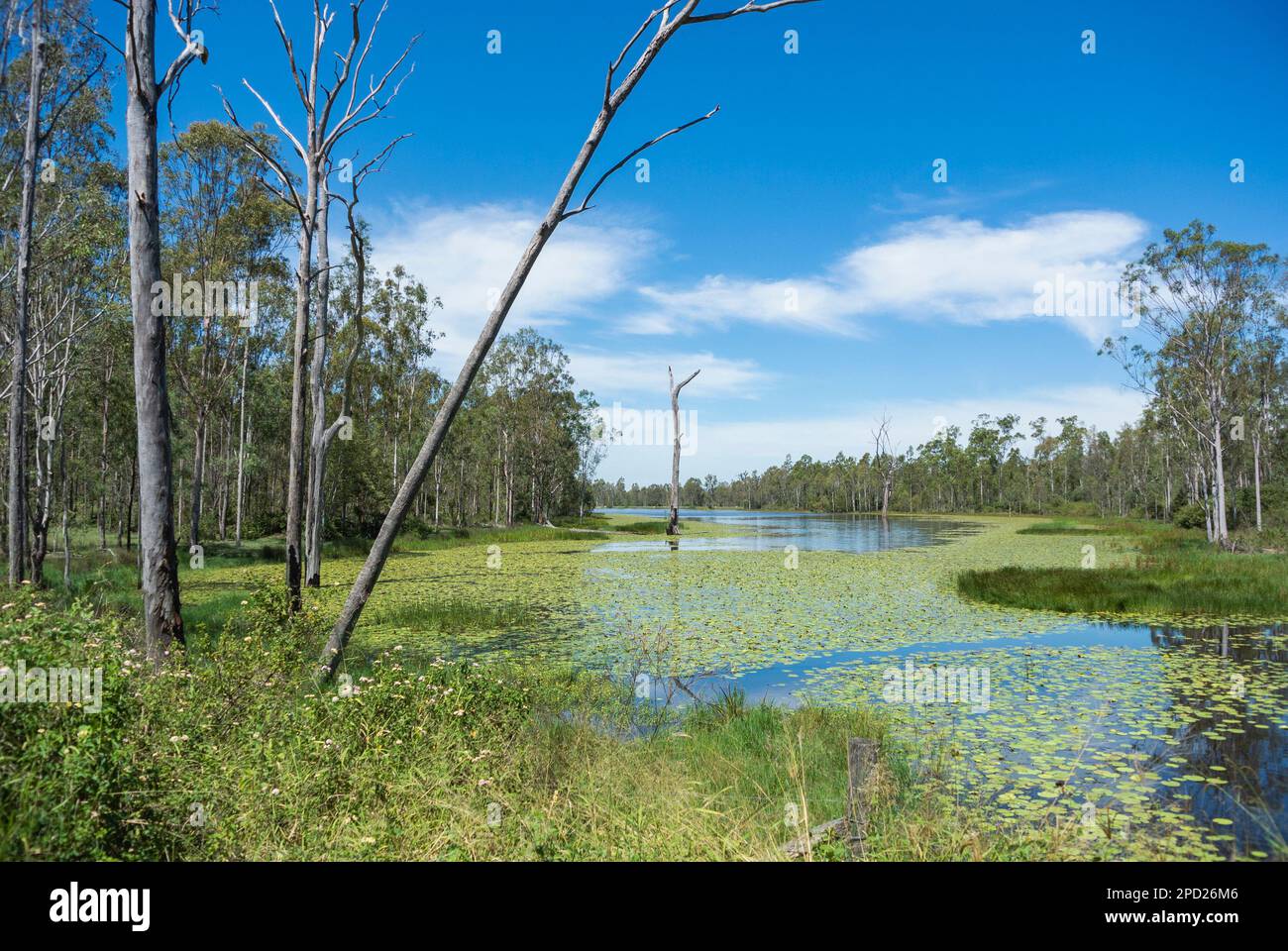 Eine Lagune an einem sonnigen Tag im Lockyer Valley, nahe Gatton, Queensland, Australien. Stockfoto