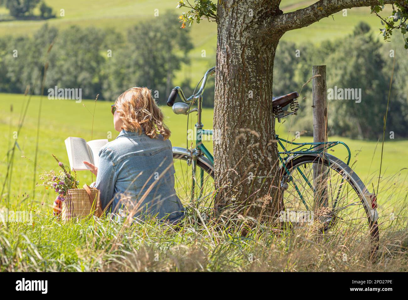 Schöne Frau, die unter einem Baum sitzt und Buch liest. Oldtimer-Fahrrad und Korb mit Blumen. Altes Retro-Design. Stockfoto