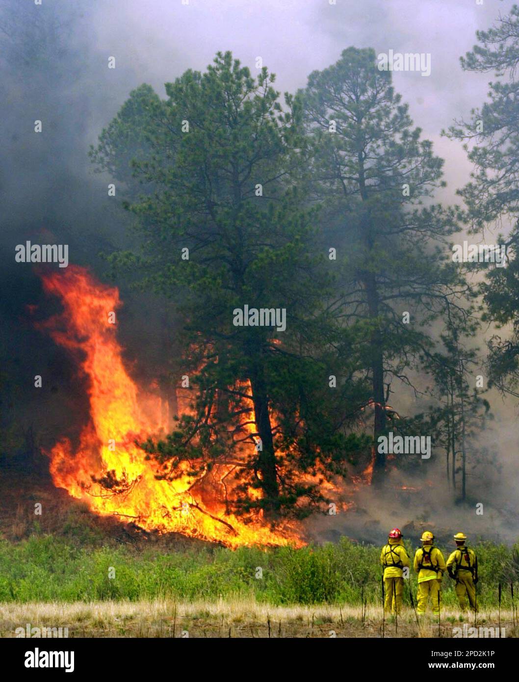 ** FILE ** Firefighters watch as the Hayman wildfire burns through the Pike National Forest near Deckers, Colo., as seen in a file photo from Monday, June 17, 2002. A Colorado group, that includes people traditionally at odds over land, has crafted a plan, to be released Thursday, May 18, 2006, aimed at dealing with catastrophic wildifres like the Hayman fire. (AP Photo/Ed Andrieski, File) Stockfoto