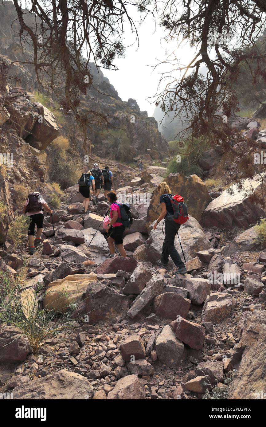 Walkers im Naqad Gulley, Jabal Ffied, Al-Sharat-Gebiet in Jordanien, Naher Osten Stockfoto