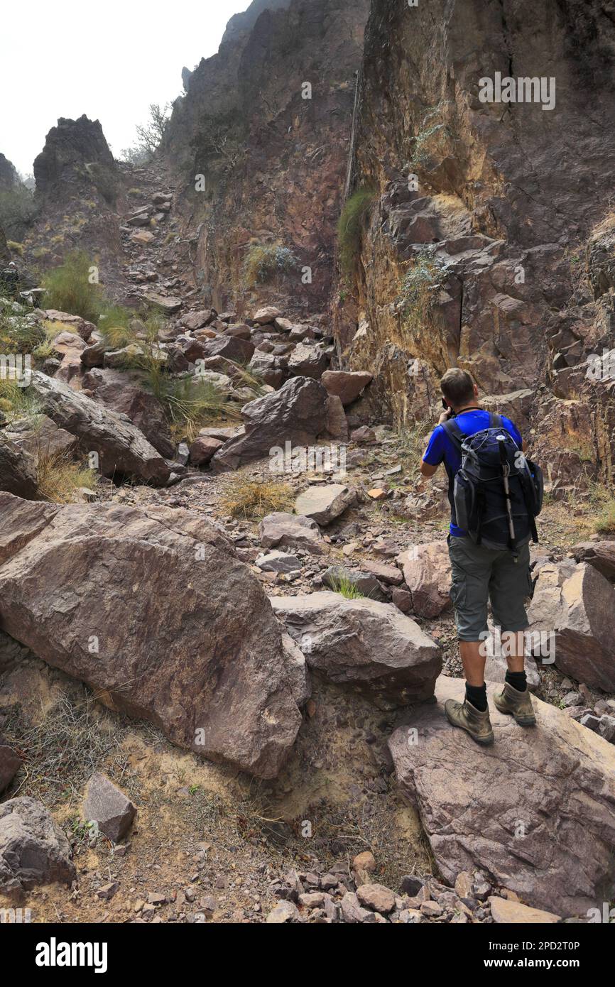 Walkers im Naqad Gulley, Jabal Ffied, Al-Sharat-Gebiet in Jordanien, Naher Osten Stockfoto