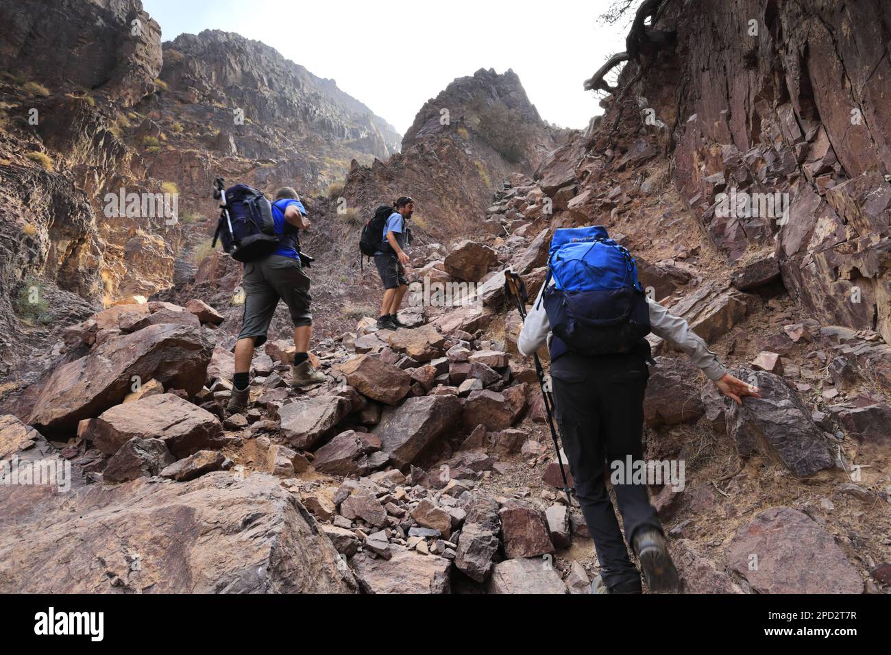 Walkers im Naqad Gulley, Jabal Ffied, Al-Sharat-Gebiet in Jordanien, Naher Osten Stockfoto