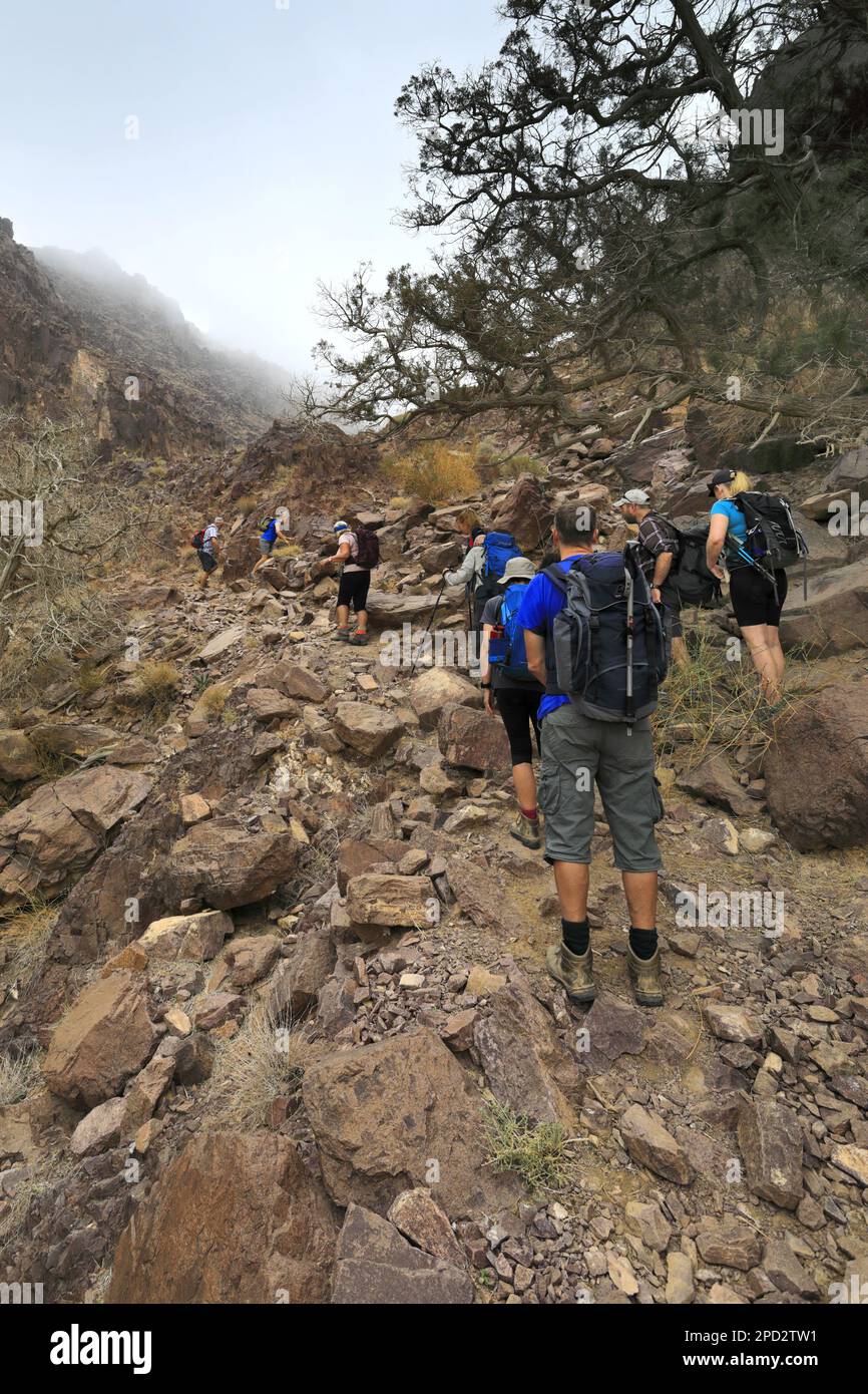 Walkers im Naqad Gulley, Jabal Ffied, Al-Sharat-Gebiet in Jordanien, Naher Osten Stockfoto