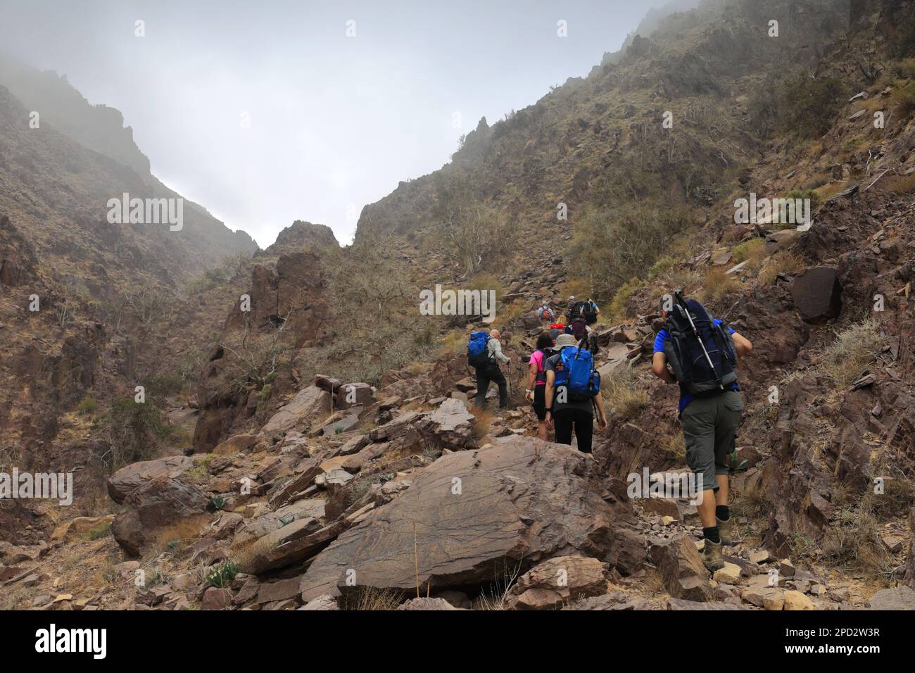 Walkers im Naqad Gulley, Jabal Ffied, Al-Sharat-Gebiet in Jordanien, Naher Osten Stockfoto