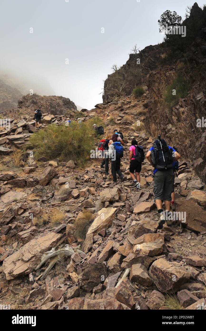 Walkers im Naqad Gulley, Jabal Ffied, Al-Sharat-Gebiet in Jordanien, Naher Osten Stockfoto