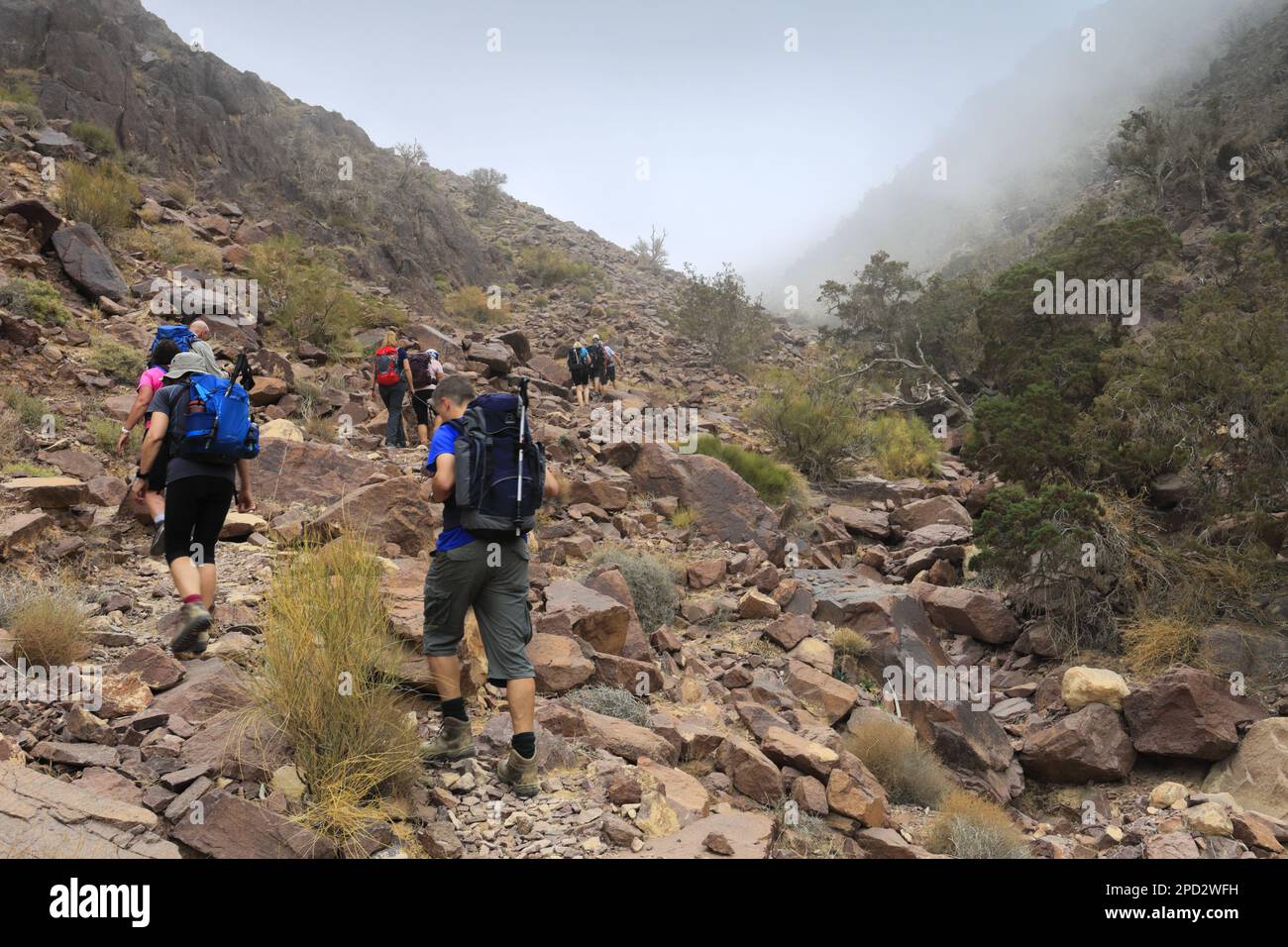 Walkers im Naqad Gulley, Jabal Ffied, Al-Sharat-Gebiet in Jordanien, Naher Osten Stockfoto