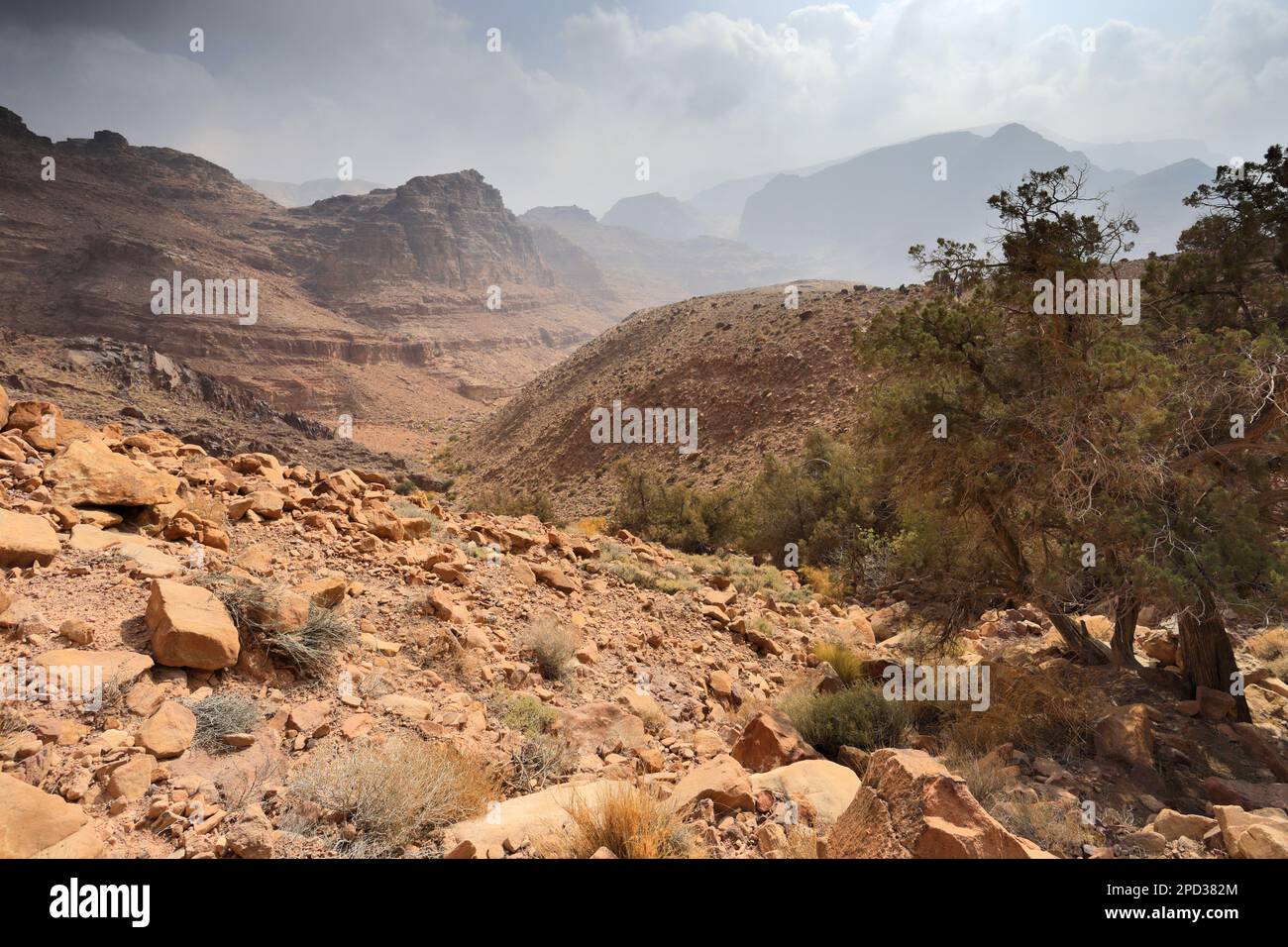 Landschaft über Naqib Shadyed auf dem Gipfel von Naqad Gulley, Jabal fied, Al-Sharat-Gebiet in Jordanien, Naher Osten Stockfoto