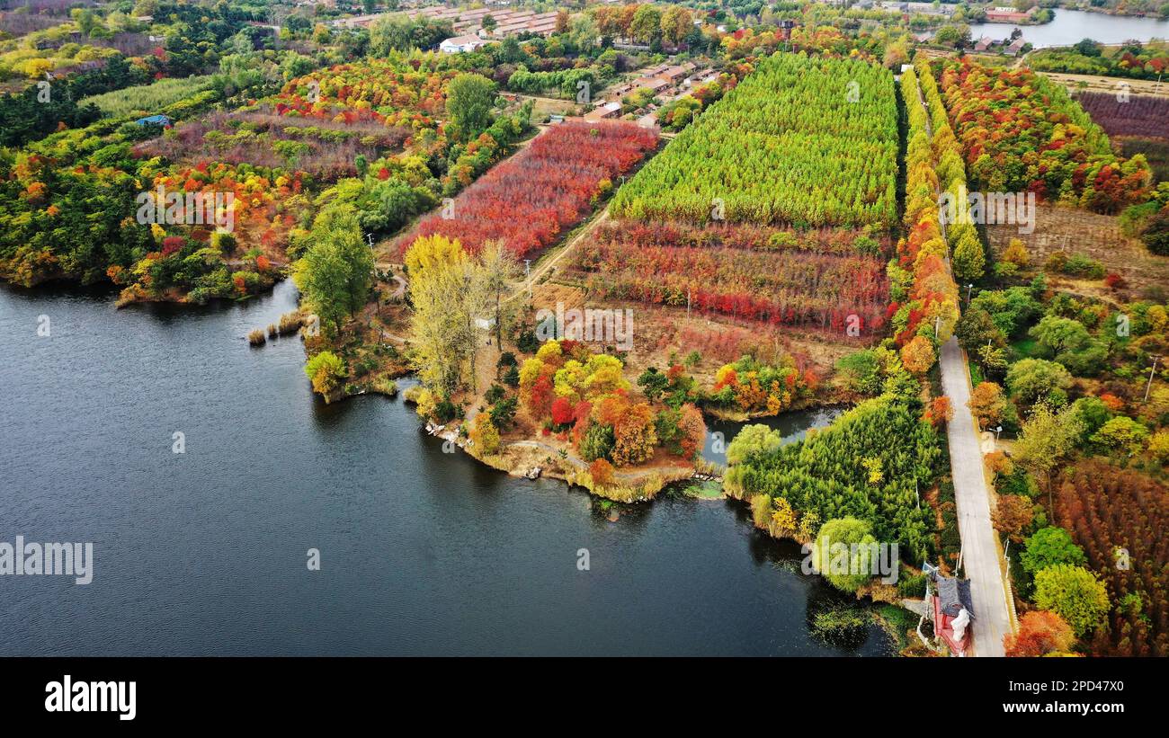 Ein Wald mit wunderschöner Landschaft, wunderschöne Landschaft, die von der Drohne eingefangen wurde, Dämmerung der Stadt. Stockfoto