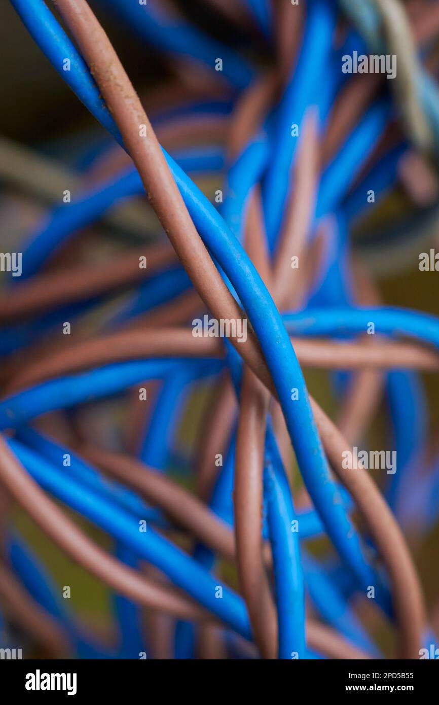 Nahaufnahme von verwickelten elektrischen Drähten oder Kabeln, blaue und braune Kabel, selektiv fokussiert mit unscharfem Hintergrund Stockfoto