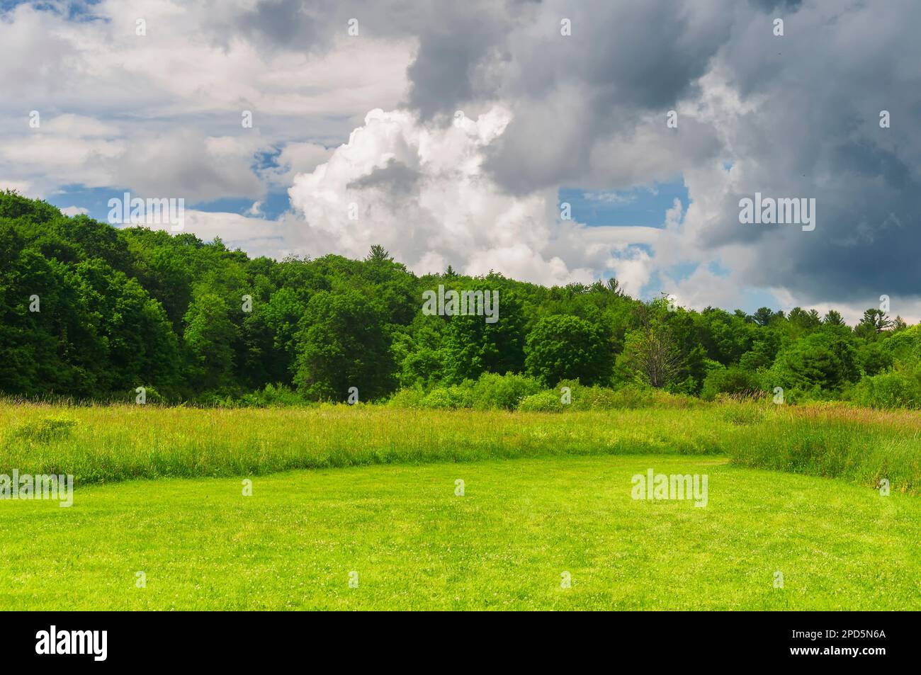 Eine Wiese und ein Grasfeld im Sunnybrook State Park in torrington, connecticut, an einem sonnigen Sommertag. Stockfoto