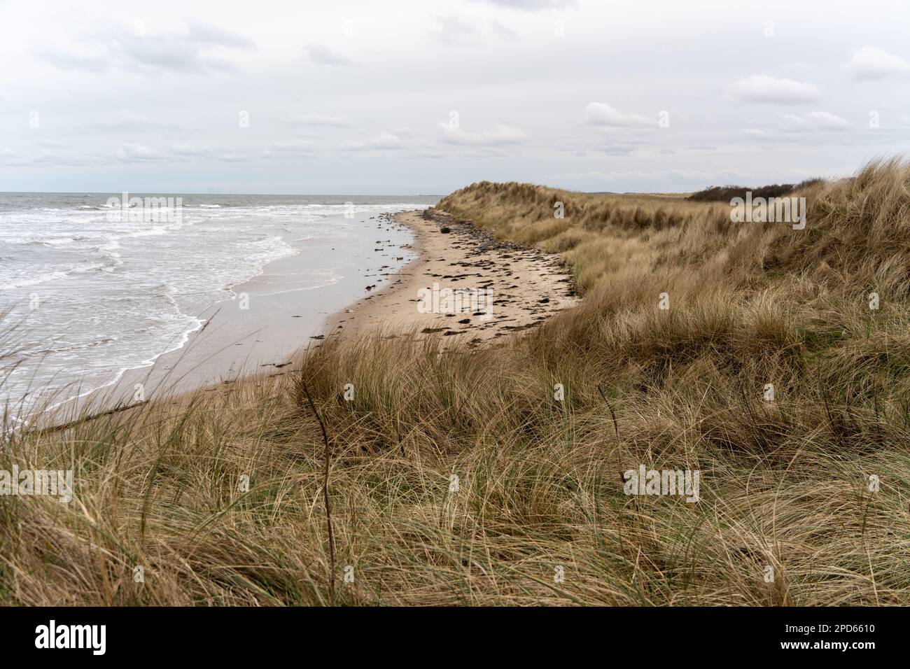 Blick auf die Dünen, den Strand und das Meer im Winter, im Low Hauxley, in der Nähe von Amble, Northumberland, Großbritannien Stockfoto
