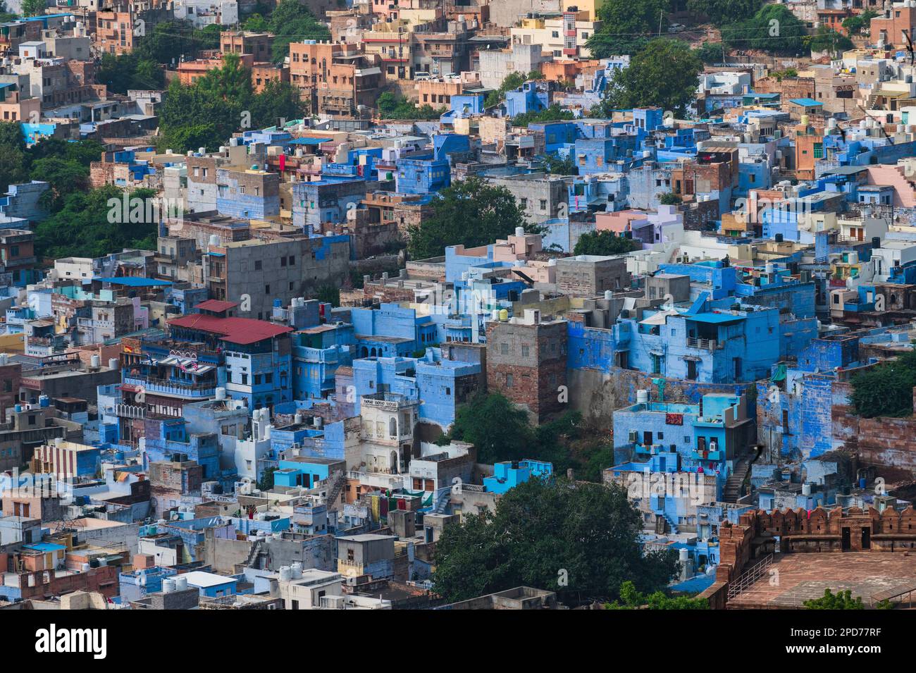 Luftaufnahme der blauen Stadt, Jodhpur, Rajasthan, Indien. Die Brahminen verehren Lord Shiva und bemalten ihre Häuser in Blau, so wie Blau seine Lieblingsfarbe ist. Stockfoto